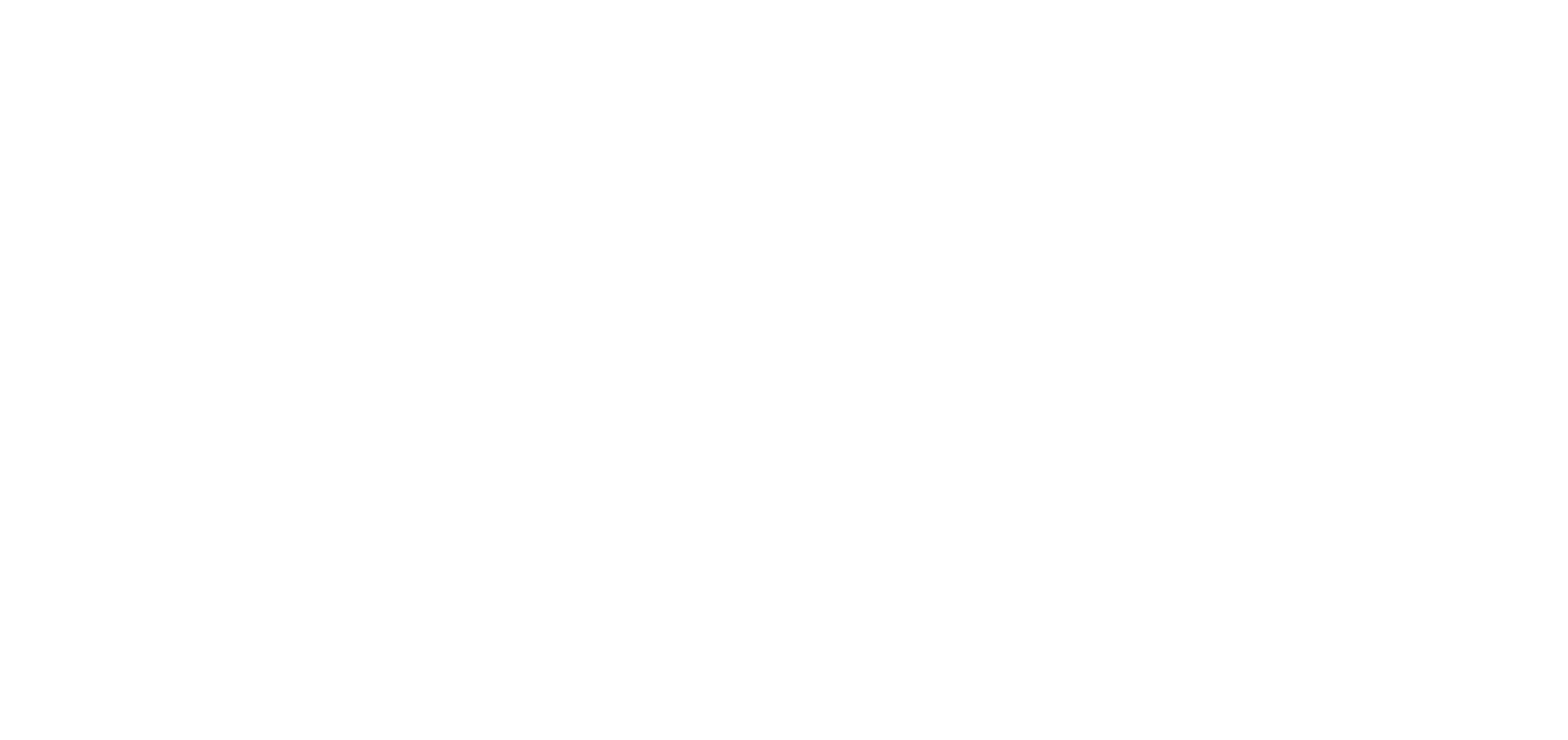 Swis Volley